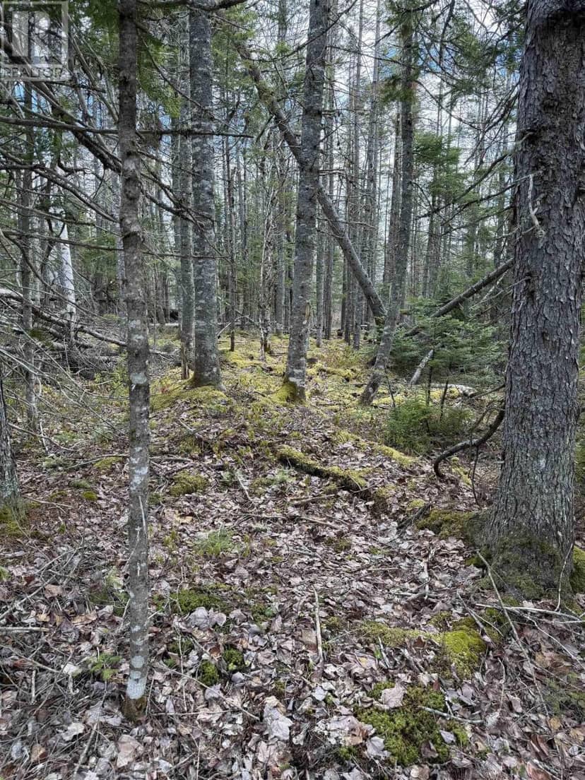 Lot CL2 Palmer Road — photo 11 of 12