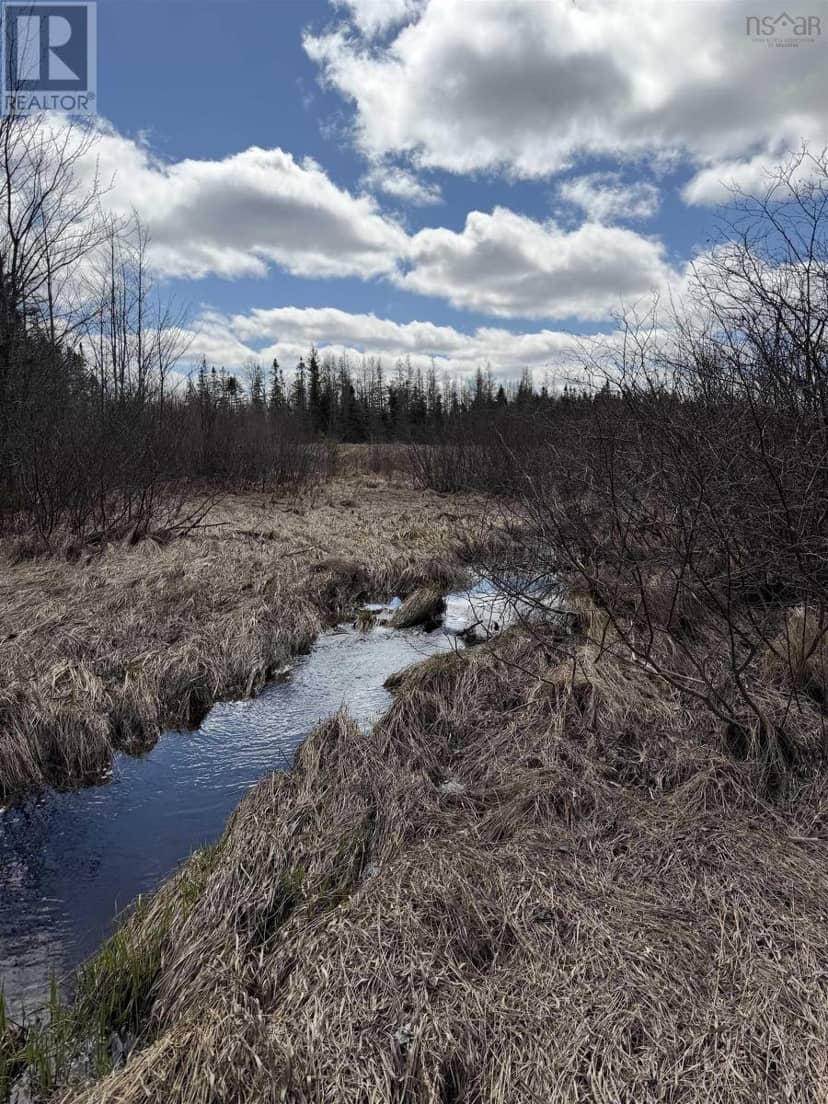 Lot CL3 Palmer Road, West Wentworth, photo 4