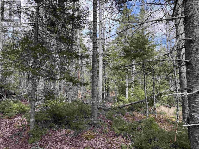 Lot CL3 Palmer Road, West Wentworth, photo 6