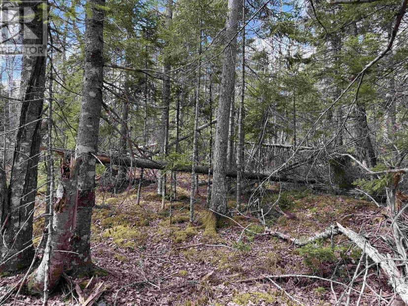 Lot CL3 Palmer Road, West Wentworth, photo 5