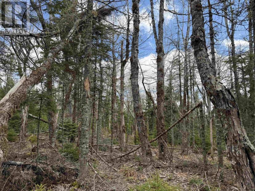 Lot CL5 Palmer Road, West Wentworth, photo 8