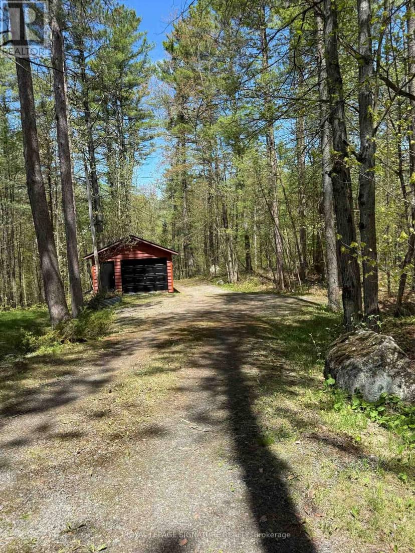 1743 North Muldrew Lake Road — photo 14 of 19