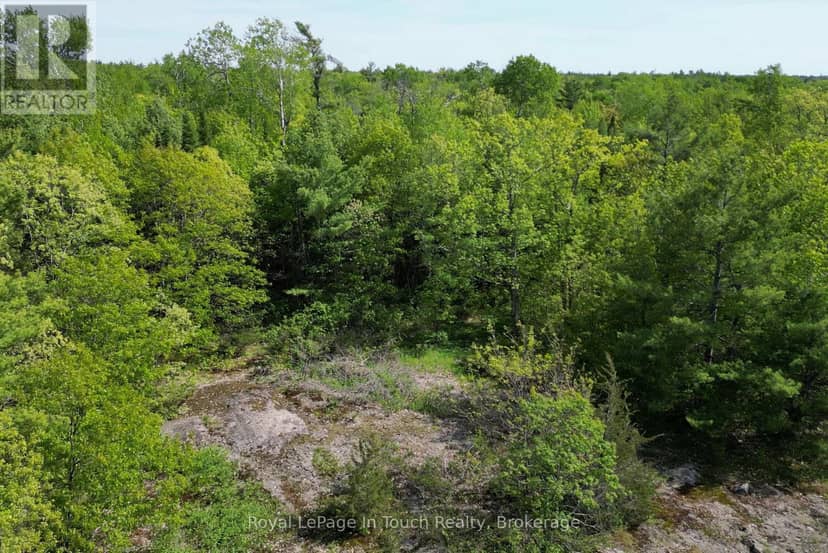 446 South Bay Road, Georgian Bay, photo 2
