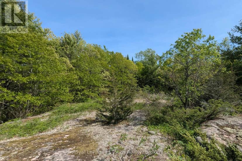 446 South Bay Road, Georgian Bay, photo 3