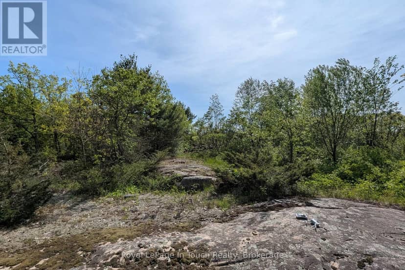 446 South Bay Road, Georgian Bay, photo 5