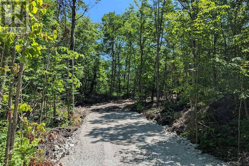 434 South Bay Road, Georgian Bay, photo 2