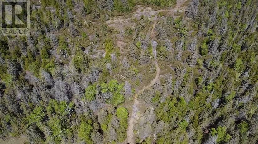 0 Cemetery Rd, Meldrum Bay, photo 4