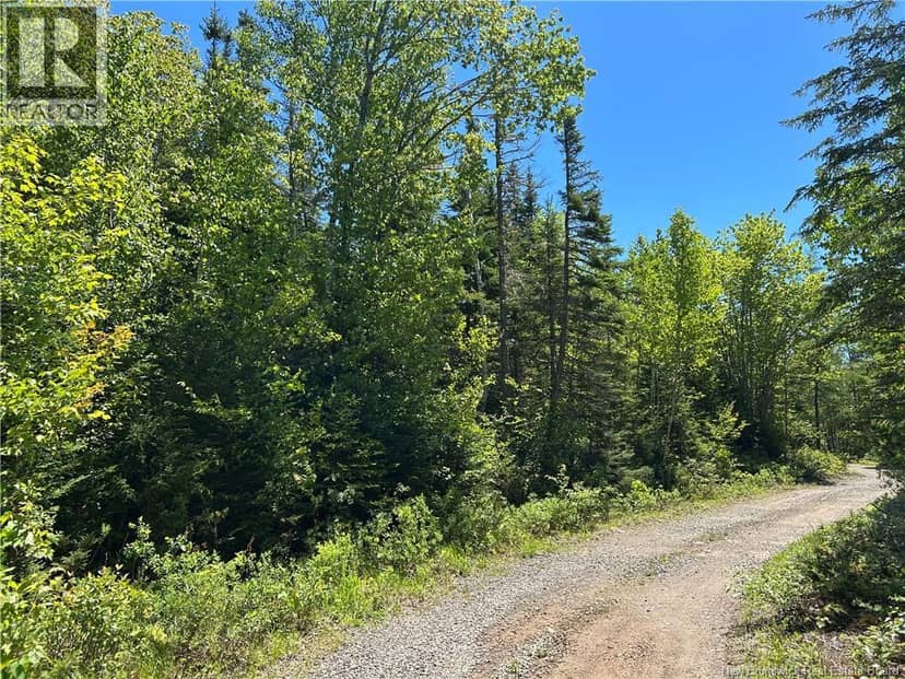 Lot Nelson Lake Road — photo 1 of 3