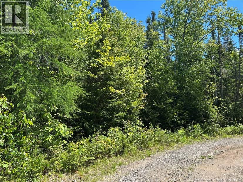 Lot Nelson Lake Road — photo 2 of 3