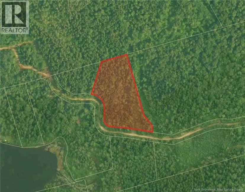 Lot Nelson Lake Road — photo 3 of 3