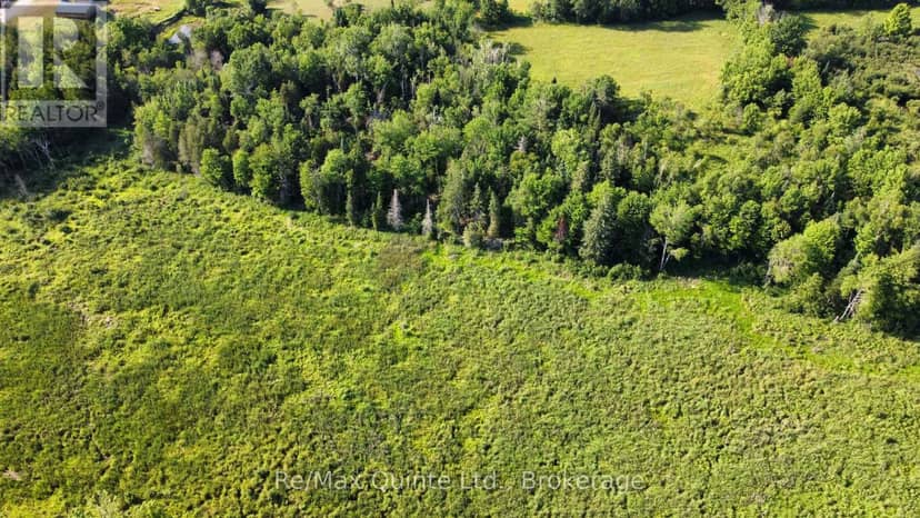 494 Twin Sister Lakes Road, Marmora and Lake, photo 4