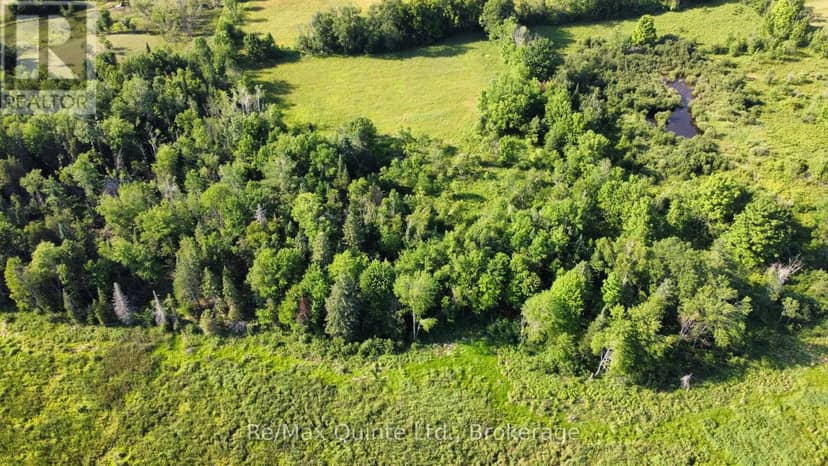 494 Twin Sister Lakes Road, Marmora and Lake, photo 5
