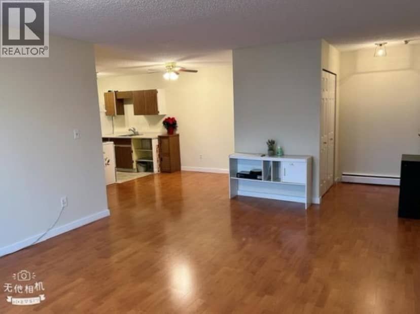 204 7260 LINDSAY ROAD, Richmond, photo 5