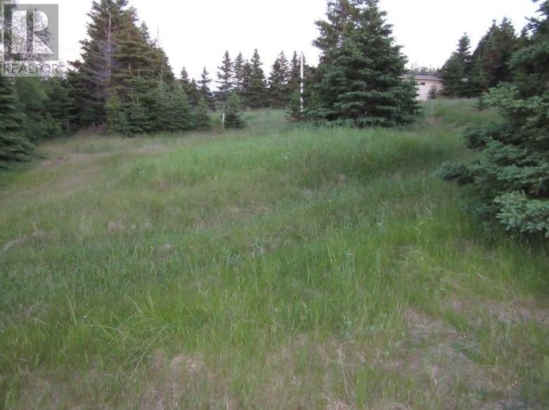 157 West Side Road — photo 3 of 12