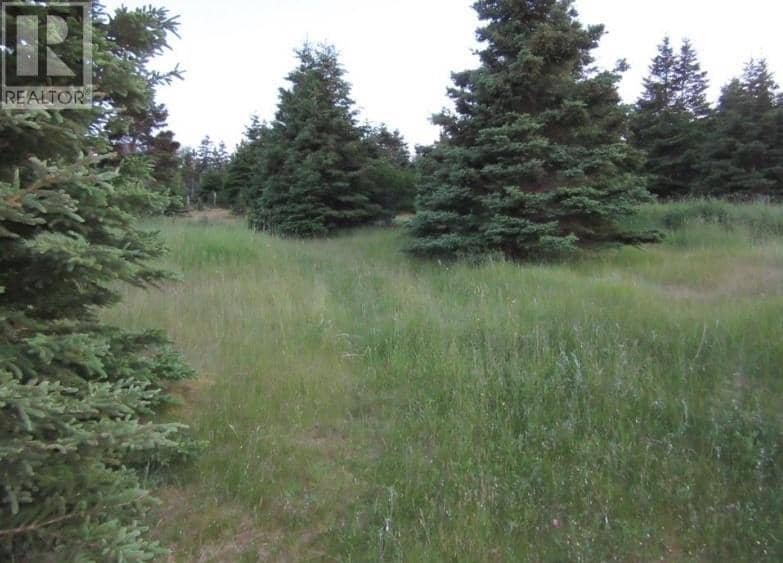 157 West Side Road — photo 4 of 12