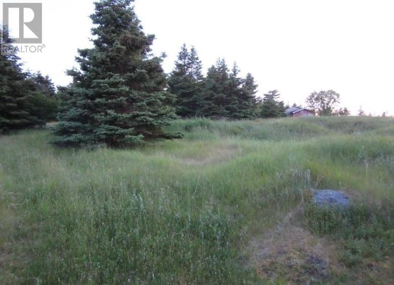 157 West Side Road — photo 5 of 12