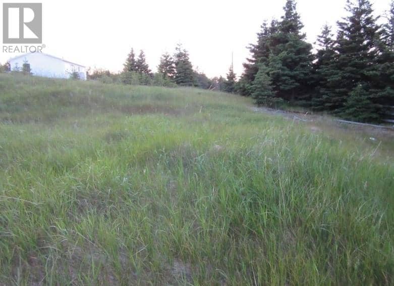 157 West Side Road — photo 6 of 12