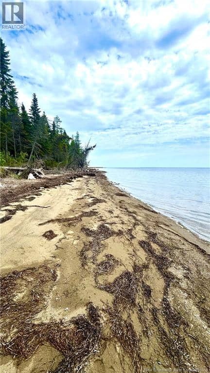 140 Grand Dune — photo 22 of 28