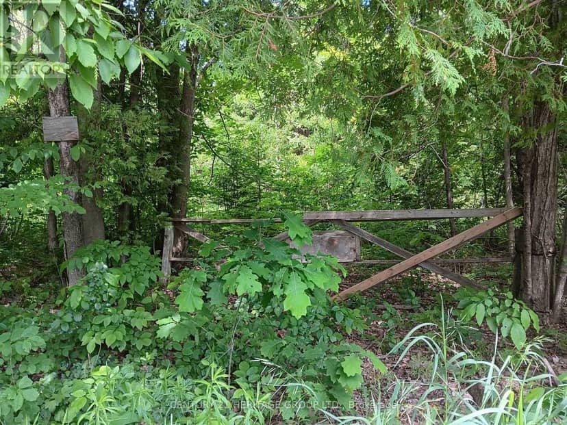 7 Line — photo 2 of 10