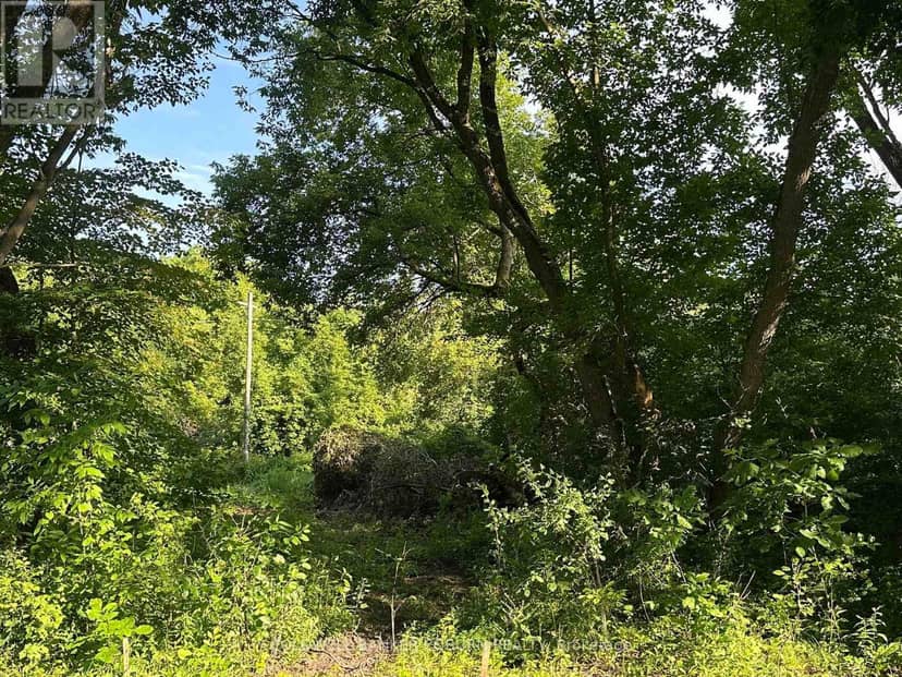 00 Pittston Road, Edwardsburgh/Cardinal, photo 2