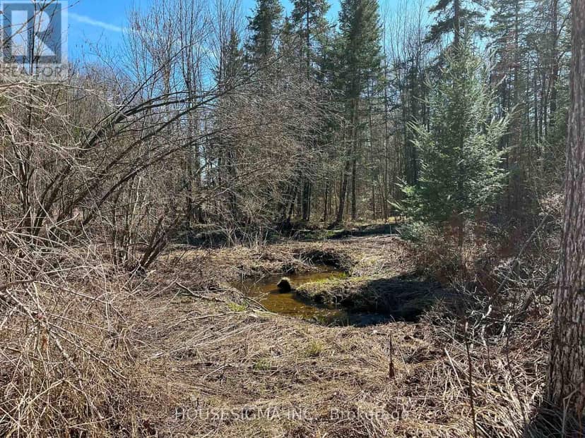 Con 14 Pt Lot 17 Ward: 01 Buller Road — photo 12 of 16