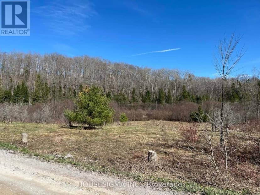 Con 14 Pt Lot 17 Ward: 01 Buller Road — photo 9 of 16