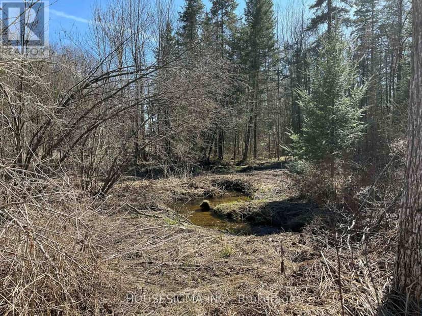 Con 14 Pt Lot 17 Ward: 01 Buller Road, Kawartha Lakes, photo 6