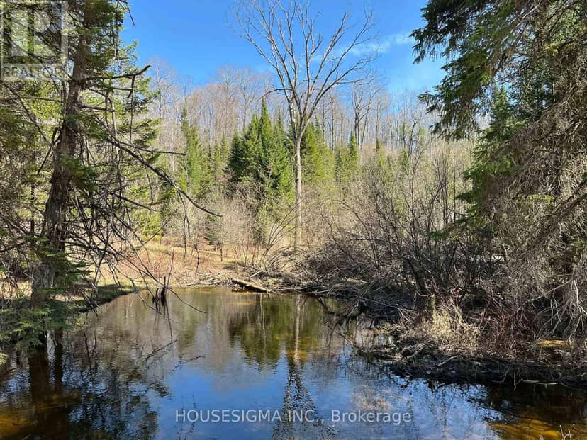 Con 14 Pt Lot 17 Ward: 01 Buller Road, Kawartha Lakes, photo 5