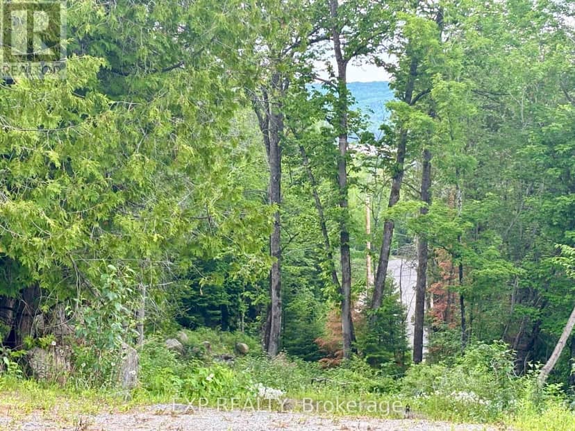 47 Arbor Vitae Road — photo 16 of 17