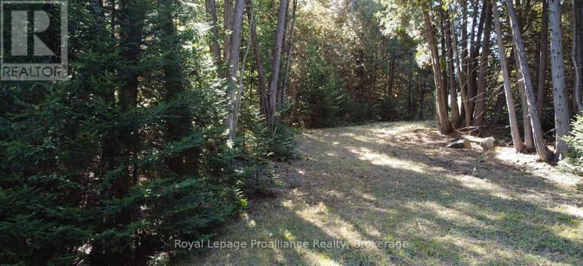 6107 Buckshot Lake Road — photo 10 of 17
