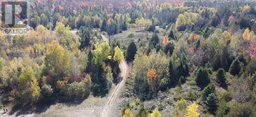 6107 Buckshot Lake Road — photo 6 of 17