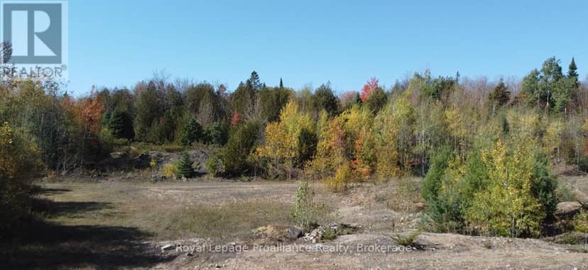 6107 Buckshot Lake Road — photo 8 of 17
