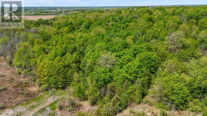 19112 Highway 7 Highway — photo 9 of 9