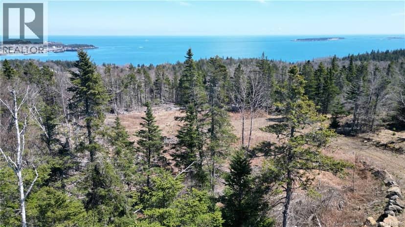 Lot 15-04 Ohio Pond Road, Grand Manan, photo 6
