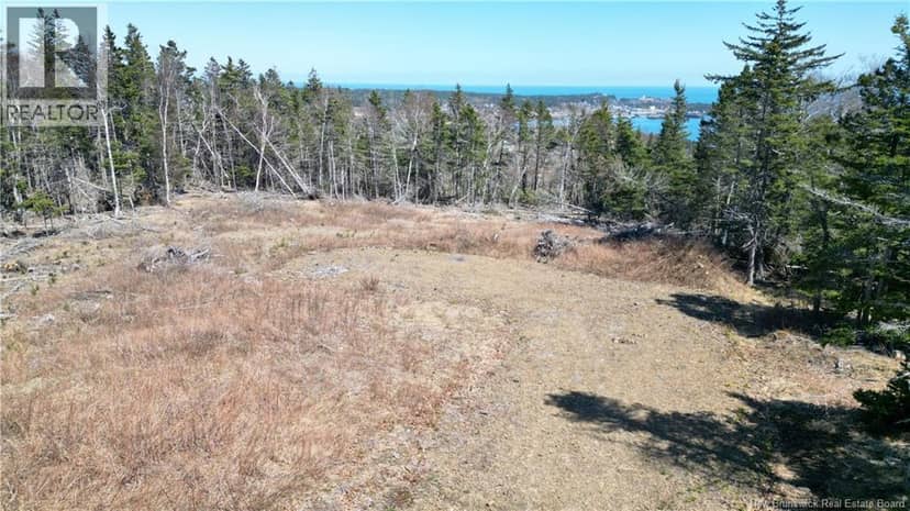 Lot 15-04 Ohio Pond Road, Grand Manan, photo 7