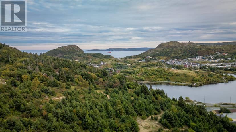 45 East White Hills Road, St. John's, photo 6