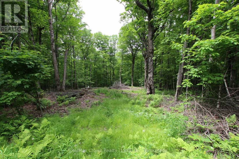 0 Limberlost Point Road, Parry Sound Remote Area, photo 6