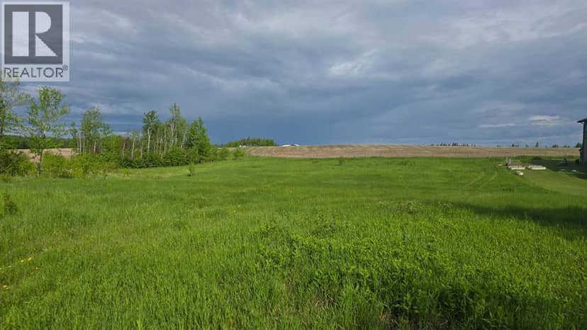 #114  15421 Old Trail, Plamondon, photo 4