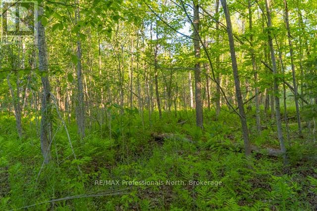 1068 Woods Road — photo 30 of 32