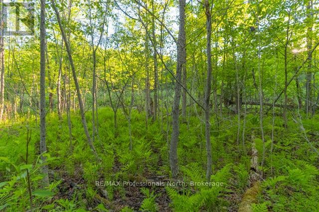 1068 Woods Road — photo 32 of 32
