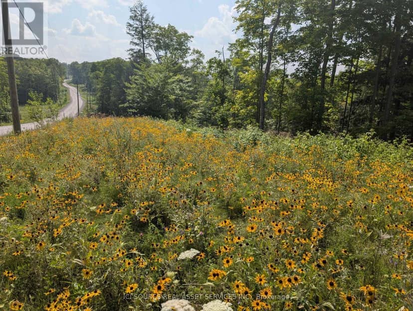 19 Shady Maple Road — photo 14 of 22