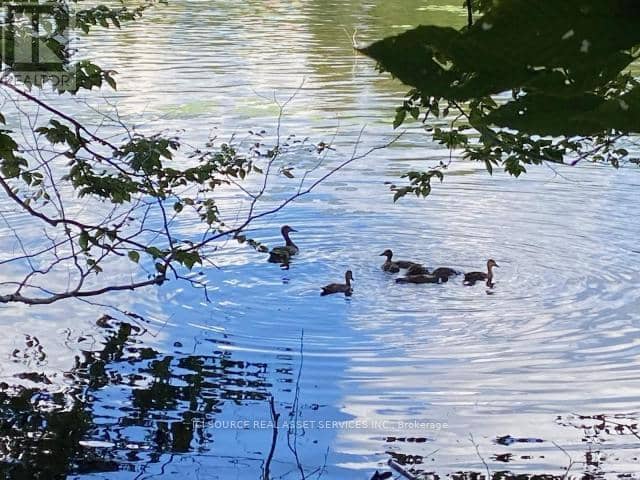 19 Shady Maple Road — photo 8 of 22