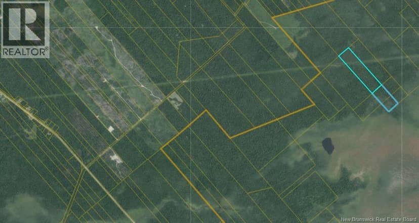 31 acres off Dunphy Road — photo 2 of 3