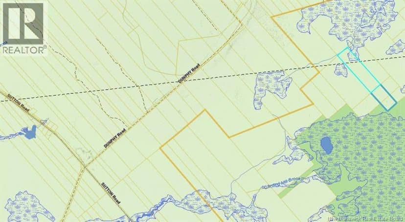 31 acres off Dunphy Road — photo 3 of 3