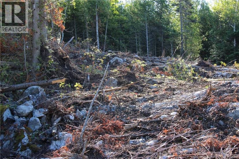 Lot C-9/10 Shoreline Drive — photo 10 of 14