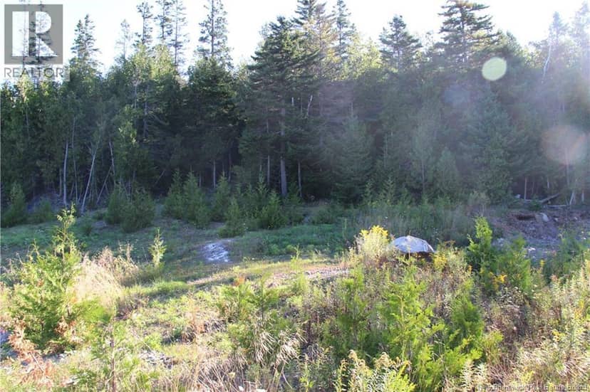 Lot C-9/10 Shoreline Drive — photo 4 of 14