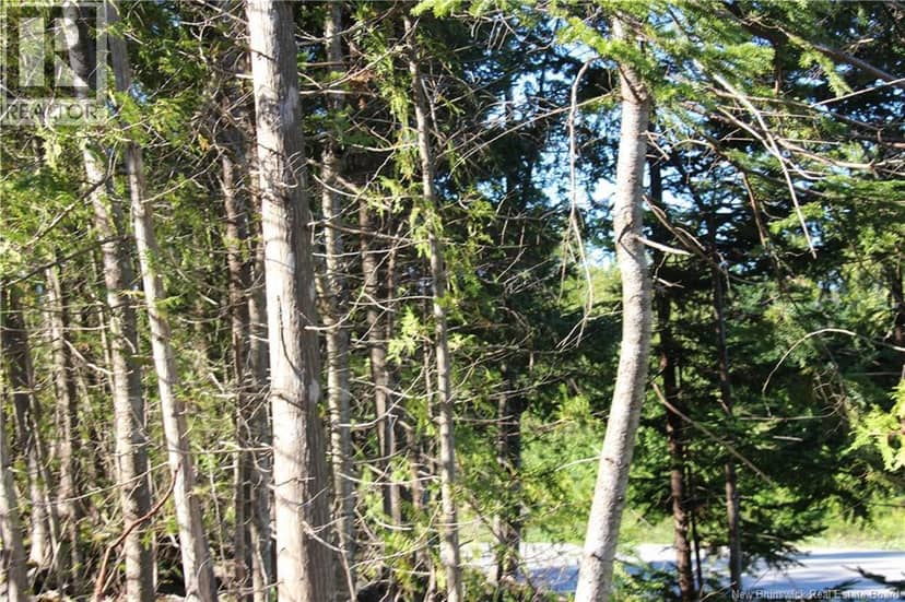 Lot C-9/10 Shoreline Drive — photo 11 of 14