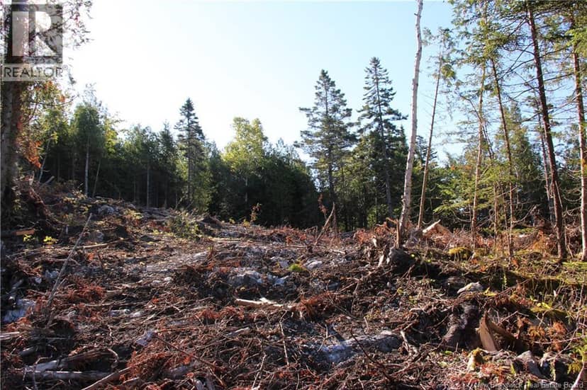 Lot C-9/10 Shoreline Drive — photo 9 of 14