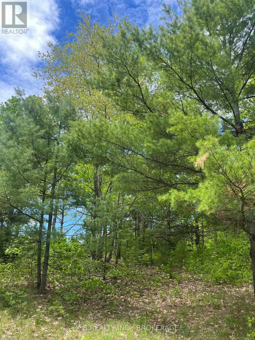2970 Mountain Road — photo 10 of 18