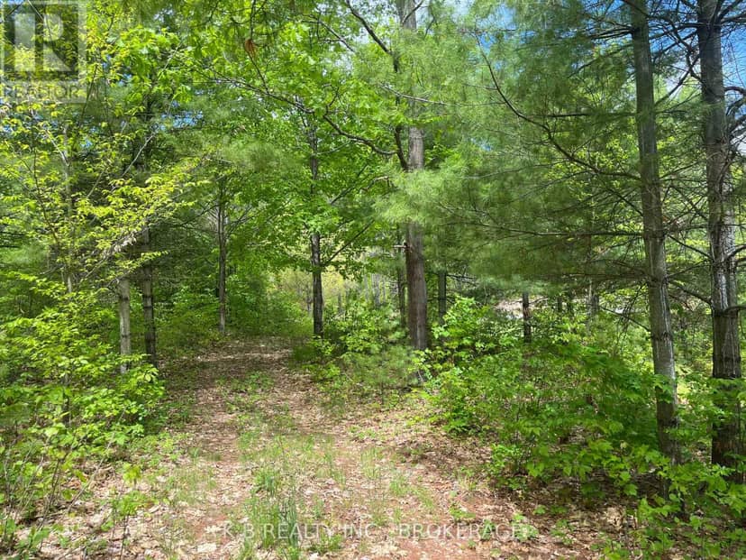 2970 Mountain Road — photo 12 of 18